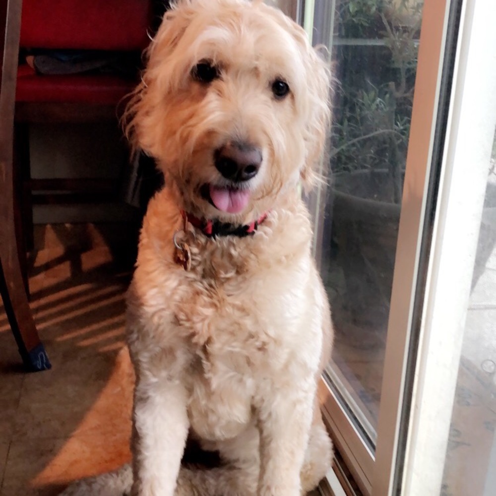 Meet your Posher, Tomoko